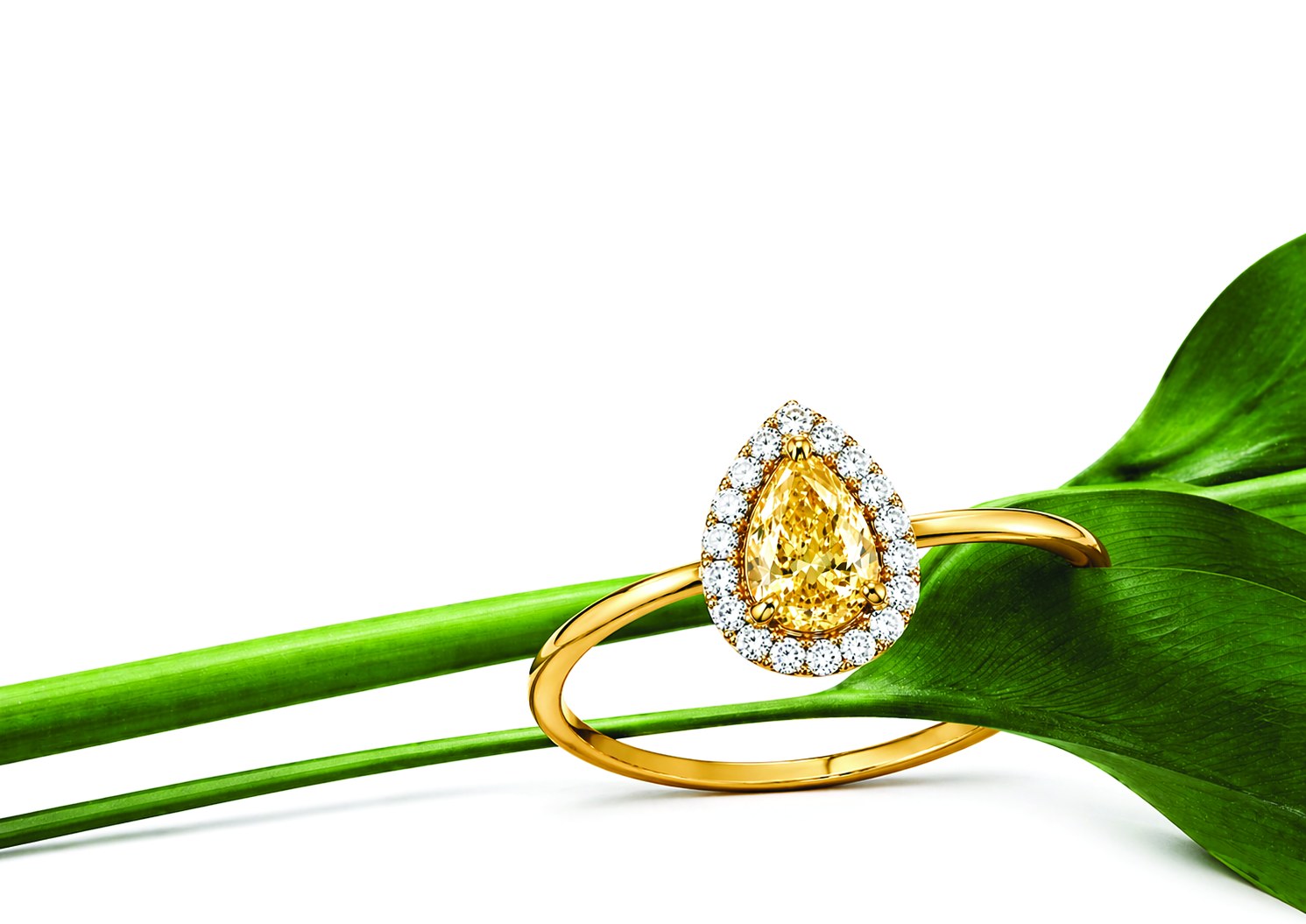 Yellow pear-cut diamond ring on green leaf